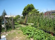 Kwikfynd Vegetable Gardens
eastgardens